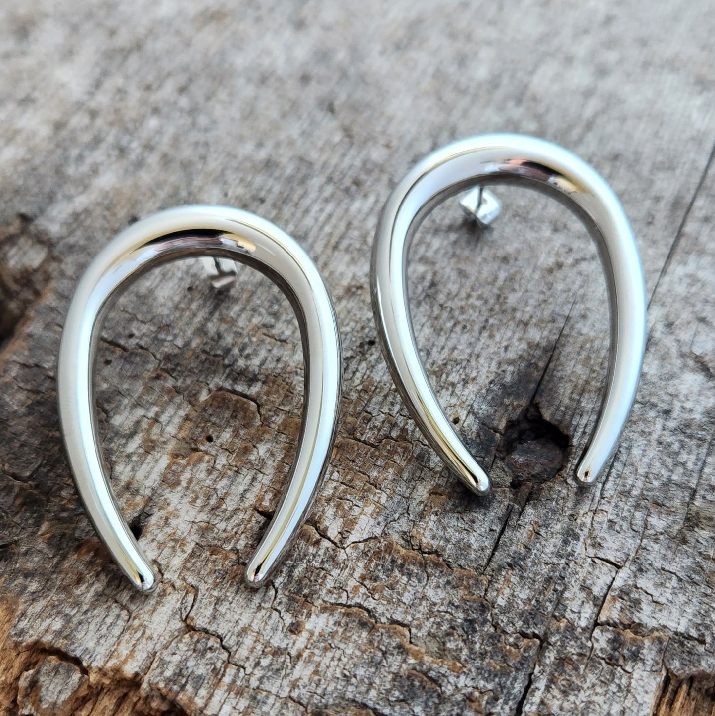 Crescent Earrings