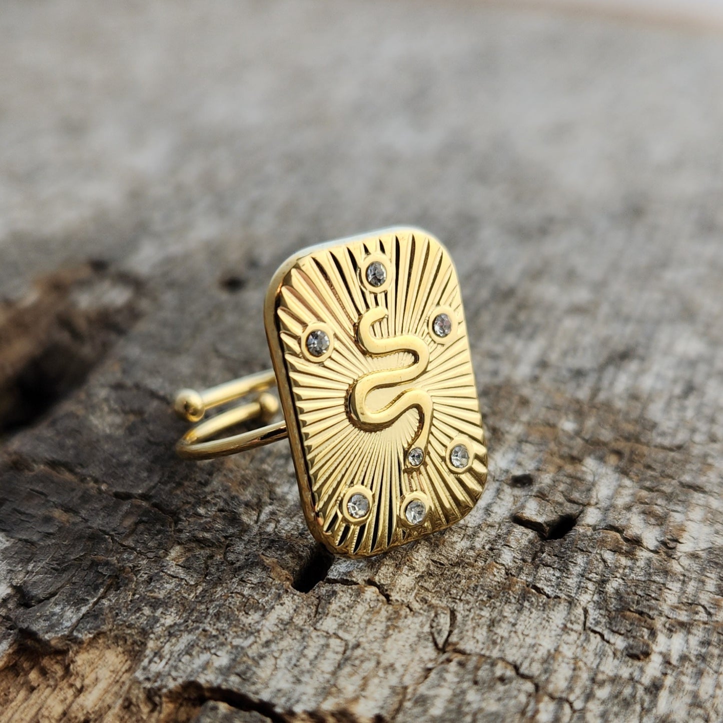 Snake Medal Ring